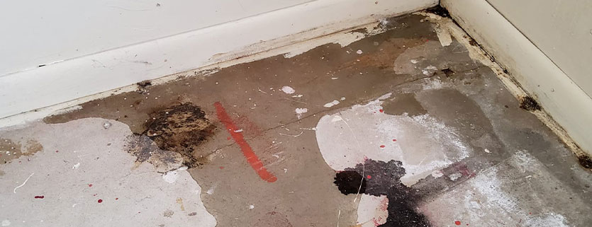 water damage and flood restoration checklist