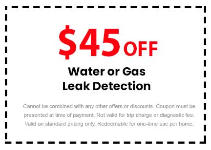 Discount on Water or Gas Leak Detection