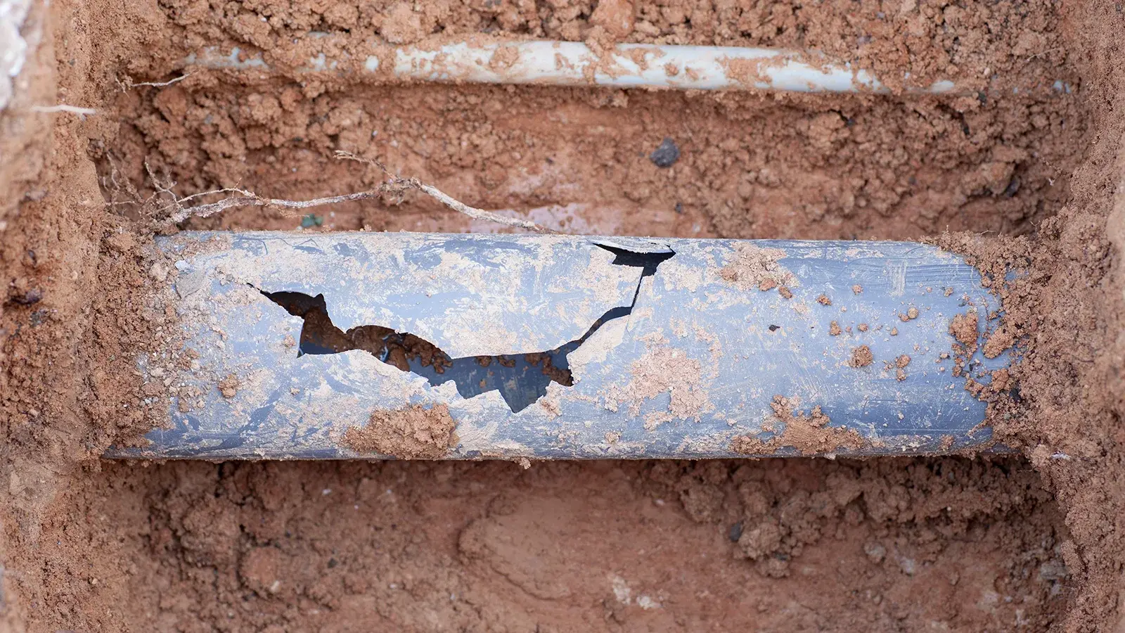 broken sewer pipe